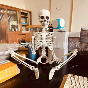 90cm skeleton