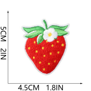 C20CM-078-04