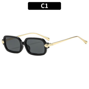 C1 - Black frame with gray accents