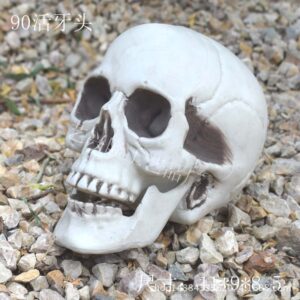 Head No. 4