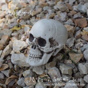 Head 7