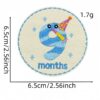 Wholesale Cartoon Round 12 Months Number Embroidered Patch DIY Iron-On Sticker Boutique Fashion Accessory