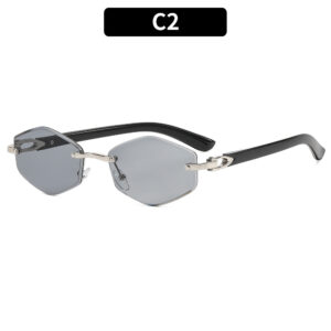 C2 - Silver frame, light gray accents