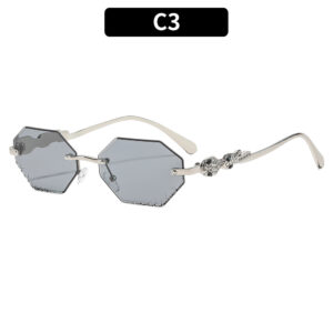 C3 - Silver frame, light gray accents