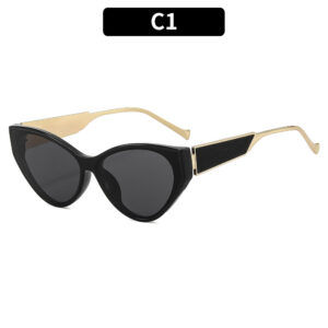 C1 - Black frame with gray accents