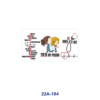 oly-d457fb127a49c25dbdd65318dcf14140 Wholesale 5pcs Retro Lab Male Portrait Medical Nurse Cartoon Heart EKG Line Mixed Graphic Print 16oz Cup UV DTF Wraps OLY Exclusive