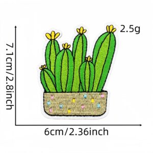 Cactus cloth patch 15#