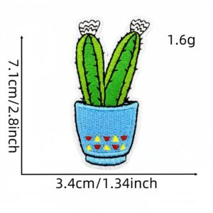 Cactus cloth patch 2#