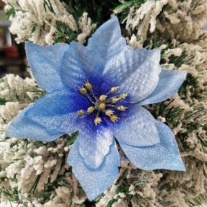 Sapphire Blue / Side powder