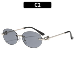 C2-silver frame light gray piece