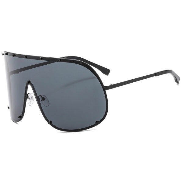 oly-da1e65a00ac3a93c59e4c5b1410d5a44 Wholesale Stylish Large Frame Sunglasses UV400 Protection Full Frame Fashion Accessory for Women
