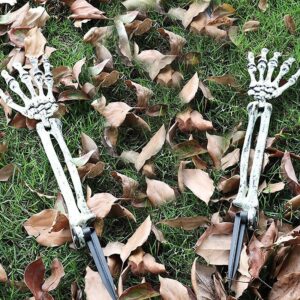 Left and right hands (one pair)