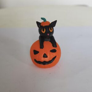 Pumpkin cat