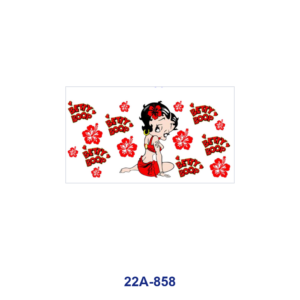 22A-858 / 5pcs