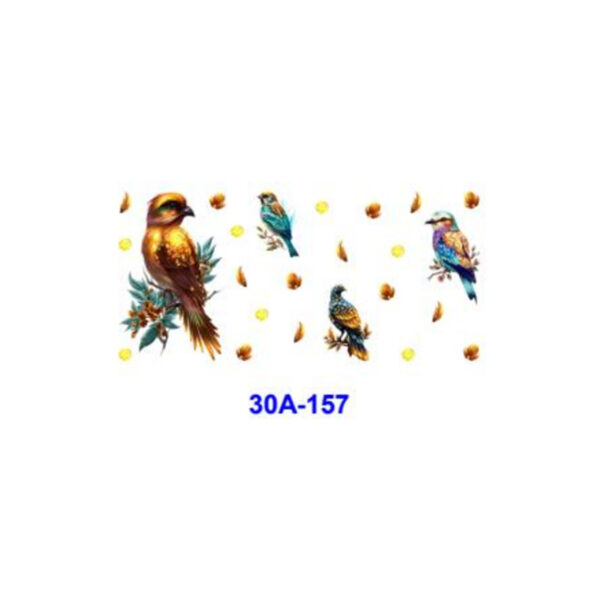 oly-e0570a112a30ed18f9a74aa0a23b5df7 Wholesale 5pcs Vibrant Tropical Bird Butterfly 16oz Cup UV DTF Wraps