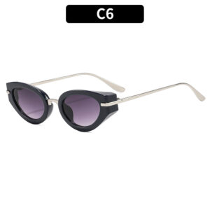 C6 - Dark Blue Frame with Double Gray Substance