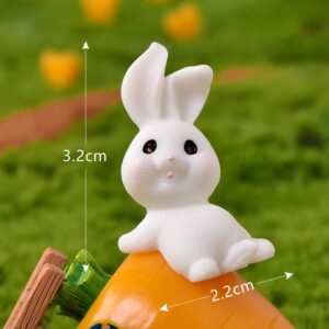 No. 14 lying rabbit / Rabbit paradise