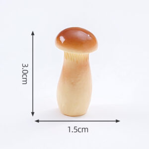 4#Apricot mushroom / Food and play mushroom