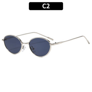 C2-Silver frame blue-gray accents