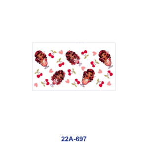 22A-697 / 5pcs