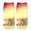 oly-e9e6a52312c93d72c63b92e9eba8061f Wholesale Trendy 3D Cartoon Cat Print Socks Unisex Breathable Casual Sports Socks
