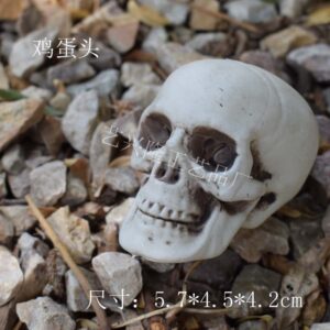 Head 9