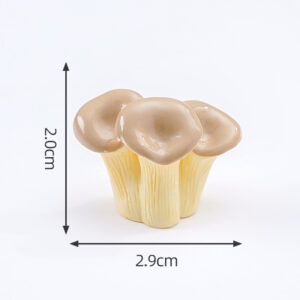 5#Flat mushrooms / Food and play mushroom