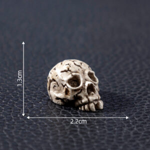 5# half round skull / Skull skull