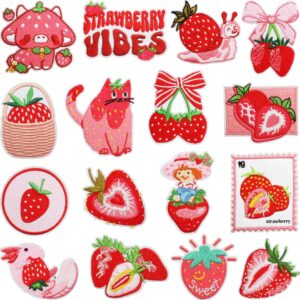 oly-ef61e5b0d43a29017d55c2451bd1e8ac Wholesale Polyester Thread Embroidered Strawberry Harvest Patch Decorative Accent for Clothing