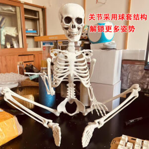 2025 new 90cm skull
