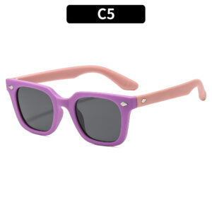C5-Purple Frame Gray Sheet