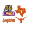 oly-f5c72991a5bb69a7960e8ff404995f41 Wholesale Polyester Embroidered Patch, Texas Longhorn Orange, Iron-On Adhesive, Casual Fashion Accessory for Hats & Shoes