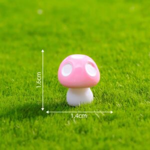 Size 2 Large Five-Point Powder / Mushroom Series 29