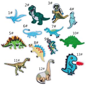 Dinosaur Cloth Paste Combination 13 Pack