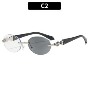 C2-Silver Frame Color-Changing Gray