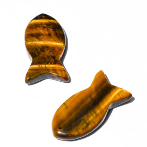 Tiger's Eye (single) / 20*38mm