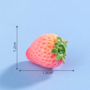 48# Pink Strawberry / Fruit House 48