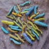 oly-fb074294cab70bbe8daab6a1e3563502 Wholesale Halloween Caterpillar Hair Clip Set 12-Pack Fashion Accessory Resale