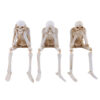 Wholesale Halloween Skeleton Resin Ornament Hear No Evil See No Evil Speak No Evil Home Decor