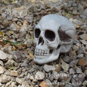 Head 6