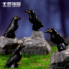 Wholesale Cartoon Style Black Resin Crow Ornament Tilted Head Halloween Home Decor