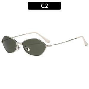C2-Silver frame with green-grey accents