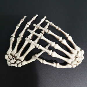 Wholesale Vintage Halloween Skull Claw Decorative Ornament, Painted Plastic, for Party Decor