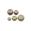 oly-122c91053d95dc7f3bf123a55430271e Wholesale Chic Summer Coconut 3D Resin Fruit Miniature Pendant DIY Hair Accessory Keychain for Boutique Resale