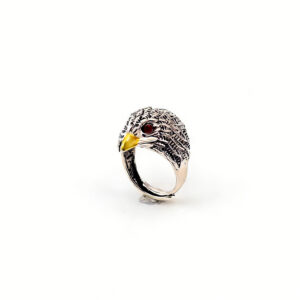 An eagle