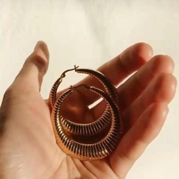 oly-2fb02b7de52d5b0fdb44e74db03283b4 Wholesale Hollow Hoop Titanium Steel Electroplated Earrings For Women Geometric Tone Chic Party Wear Jewelry Accessory