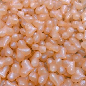 06# Orange / 17*22mm