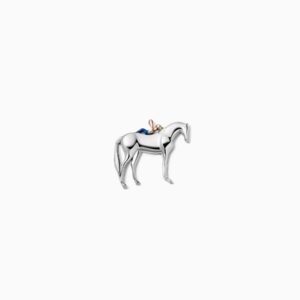 Pony (single accessory)