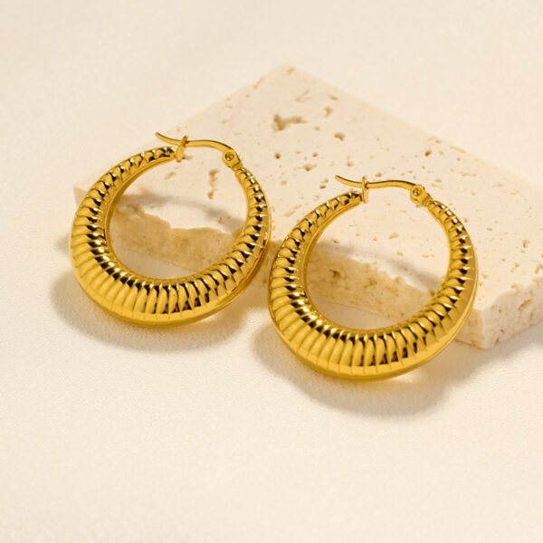 oly-5bc82f7f86f2600e8fa3982005eb3f2c Wholesale Hollow Hoop Titanium Steel Electroplated Earrings For Women Geometric Tone Chic Party Wear Jewelry Accessory