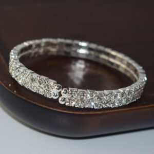 SL-1006 Silver 2 rows
